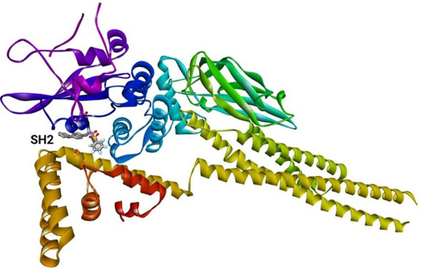 Figure 11
