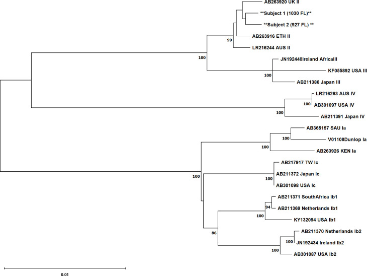 Figure 1