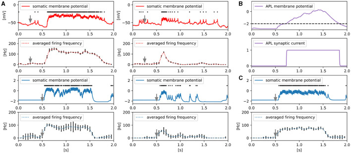 Figure 7