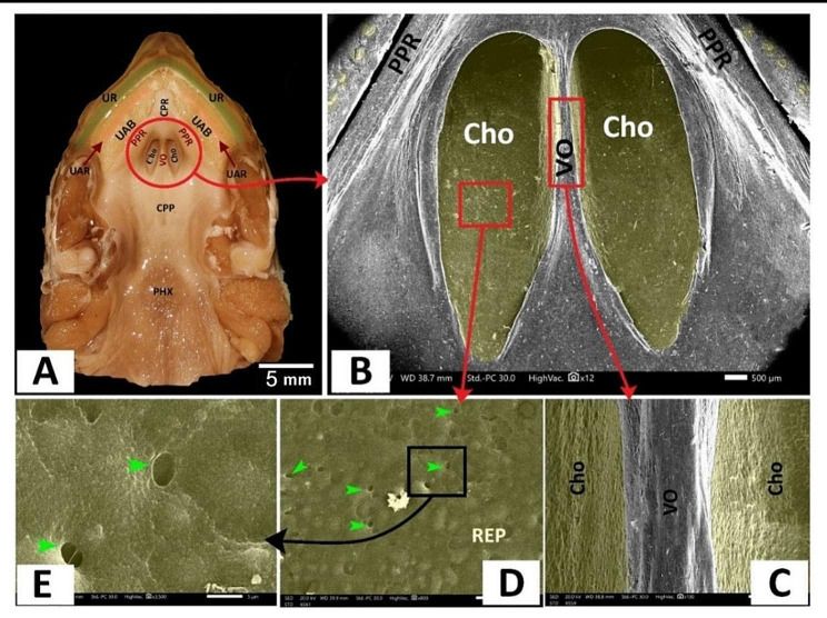 Figure 13