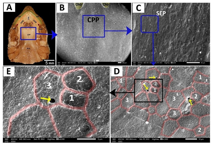 Figure 14