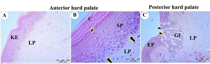 Figure 15