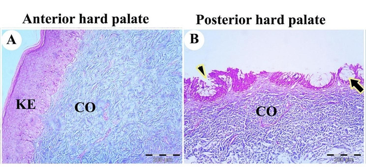 Figure 16