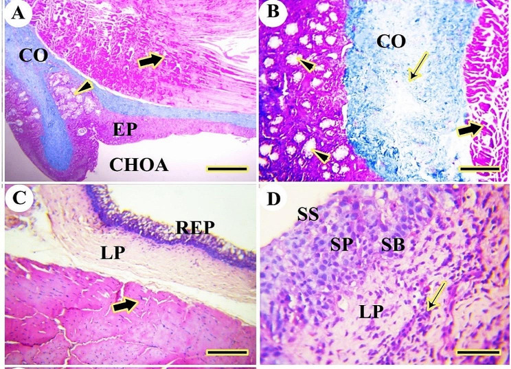 Figure 17