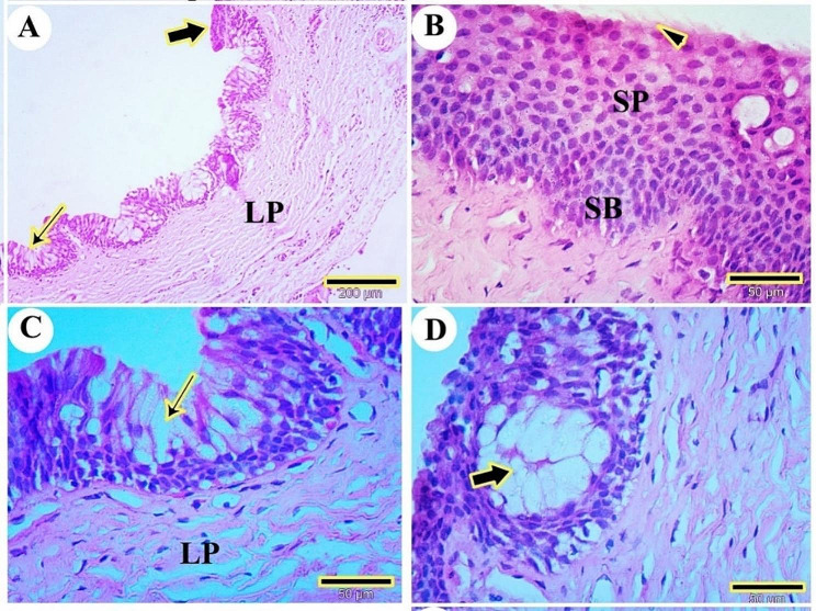 Figure 18