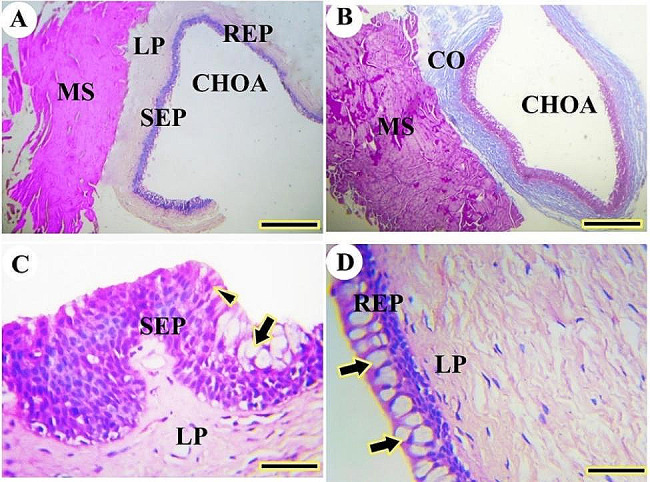 Figure 19