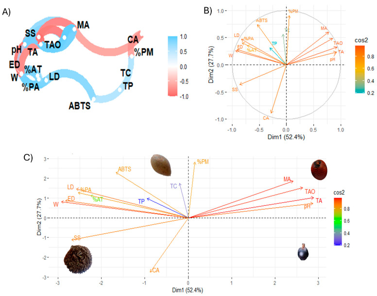 Figure 6