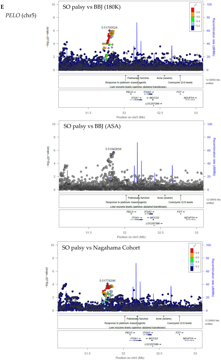Figure 16