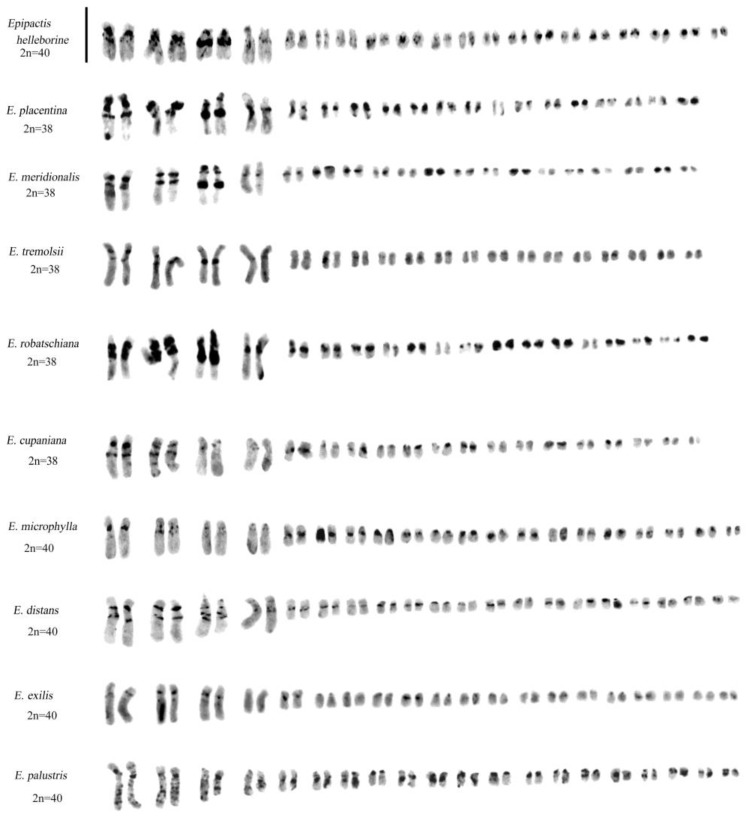 Figure 10