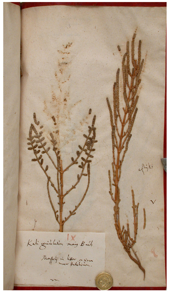 Figure 6