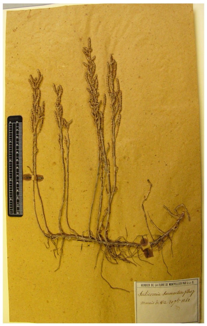 Figure 10