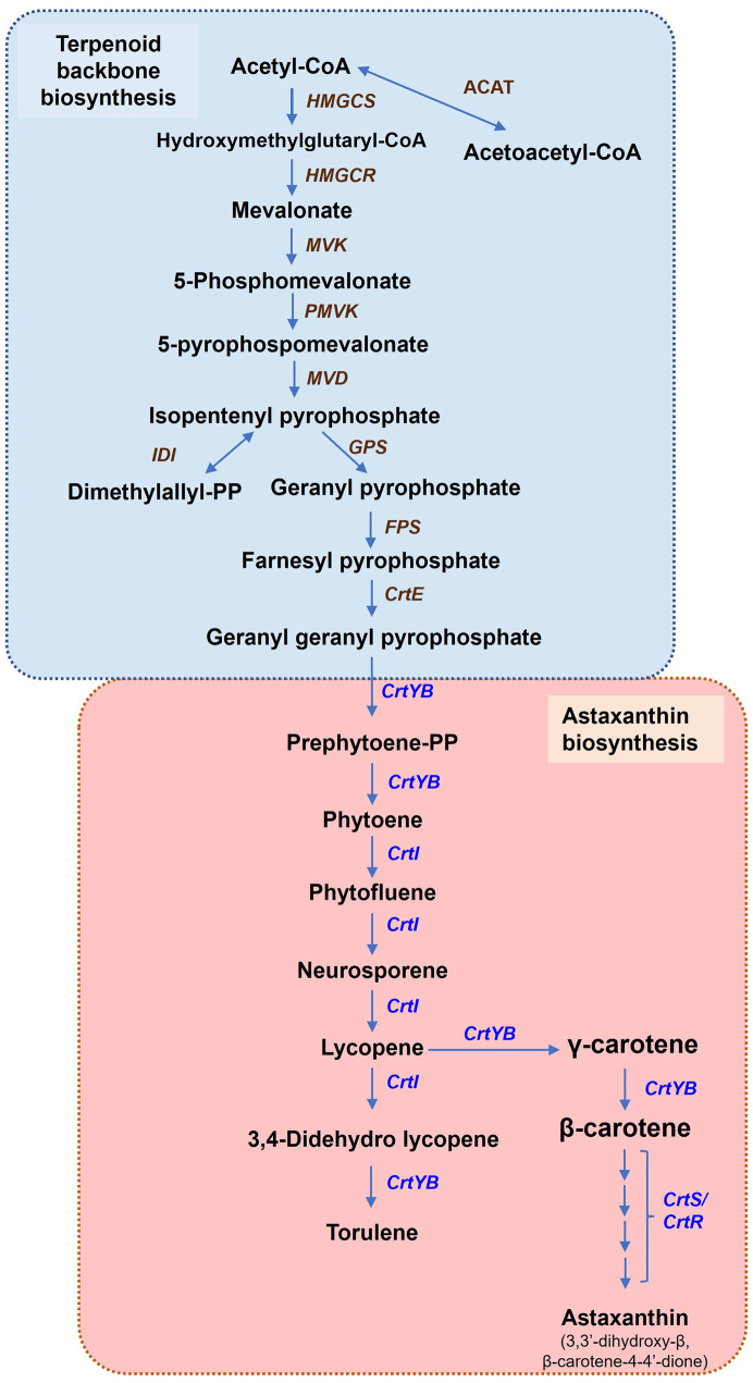 Fig 6