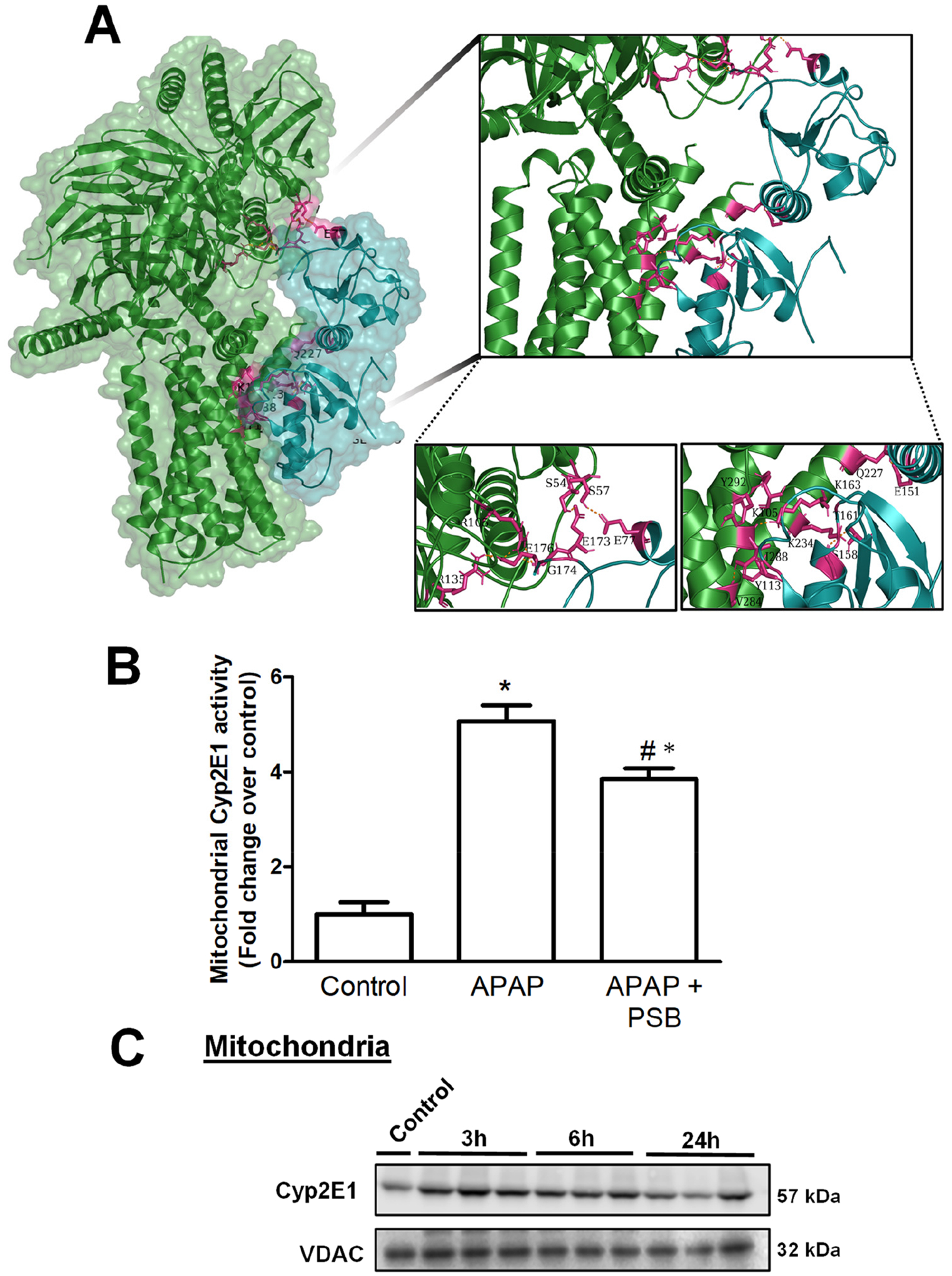 Figure 5