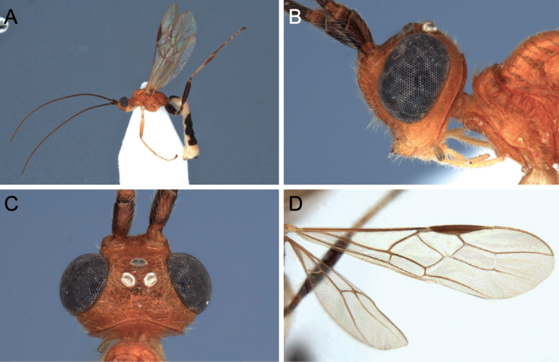 Figure 13