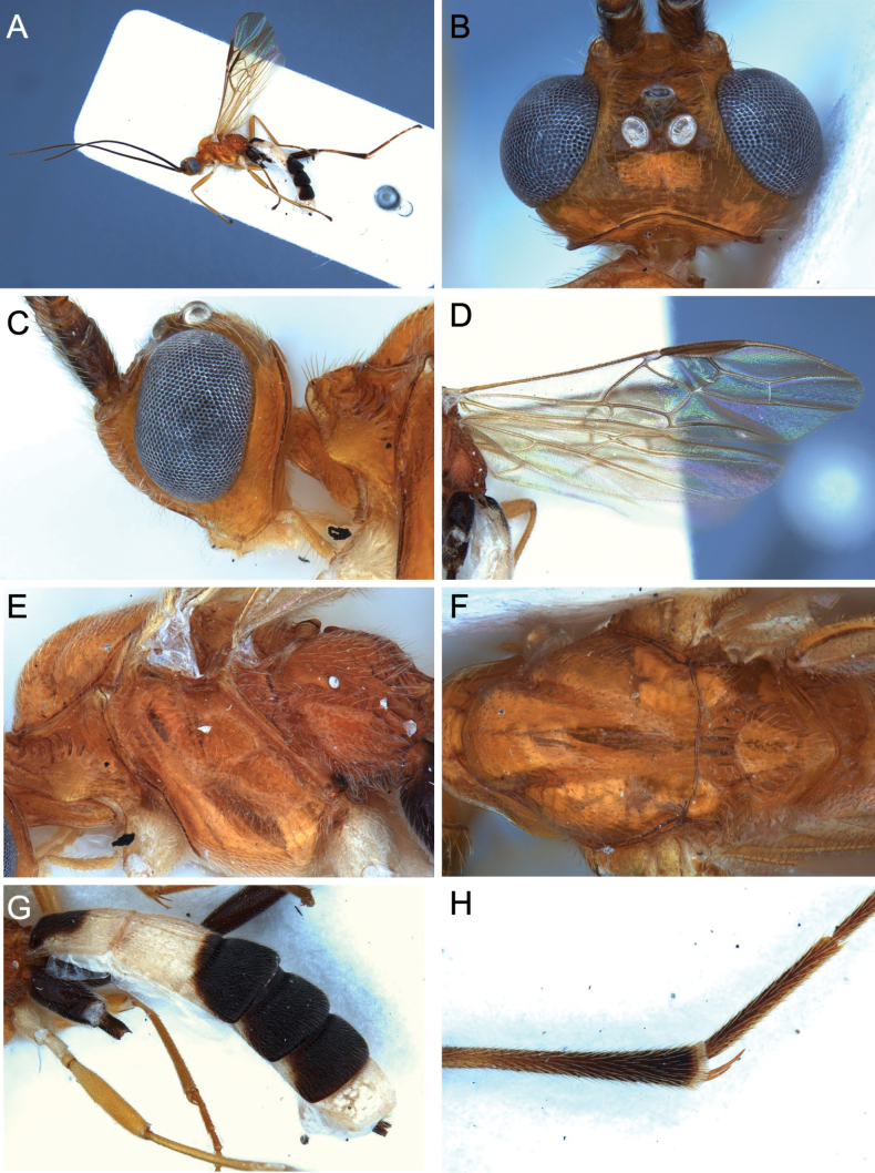 Figure 15