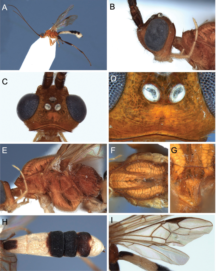 Figure 18
