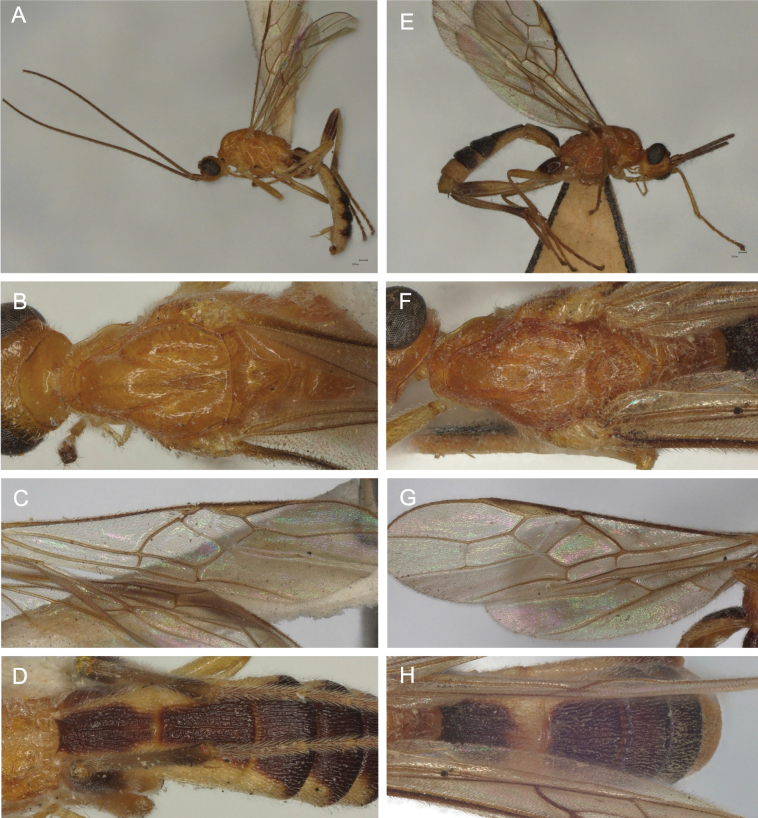 Figure 19