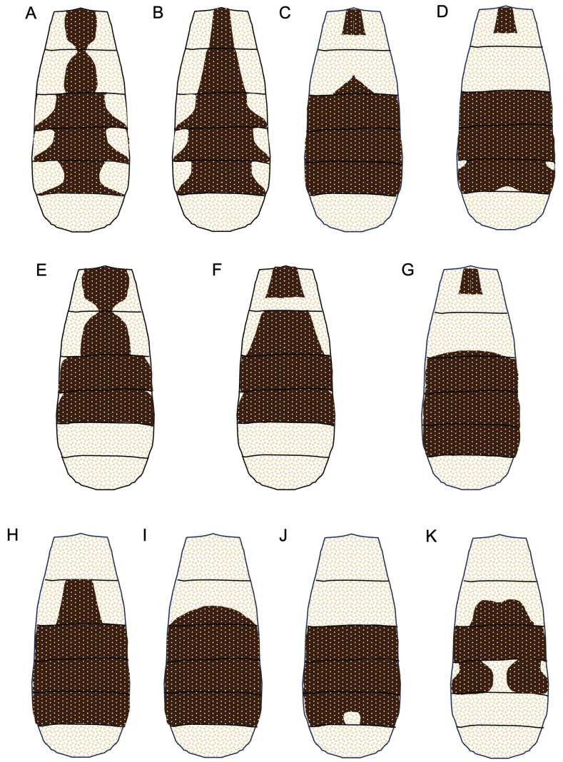 Figure 21
