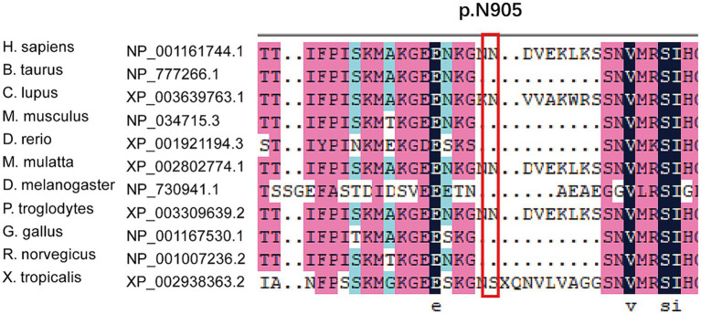 Figure 4
