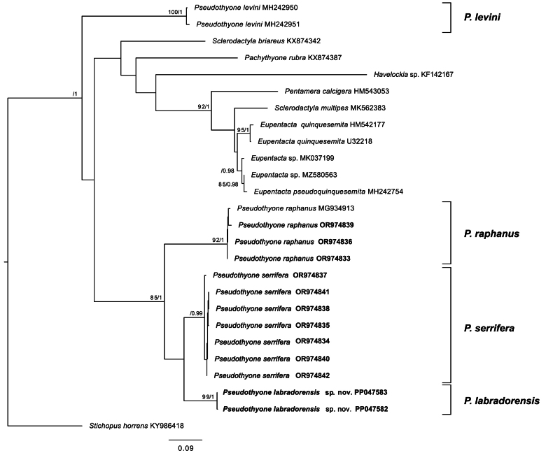 Figure 4