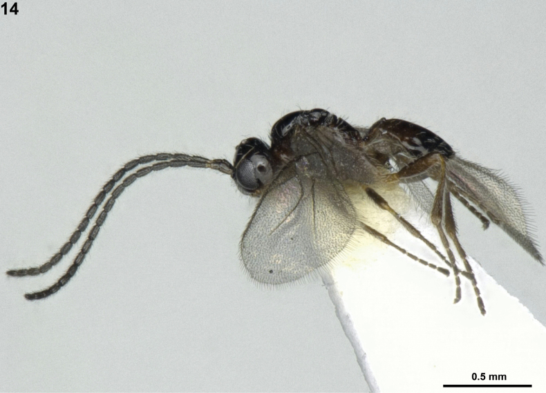 Figure 14