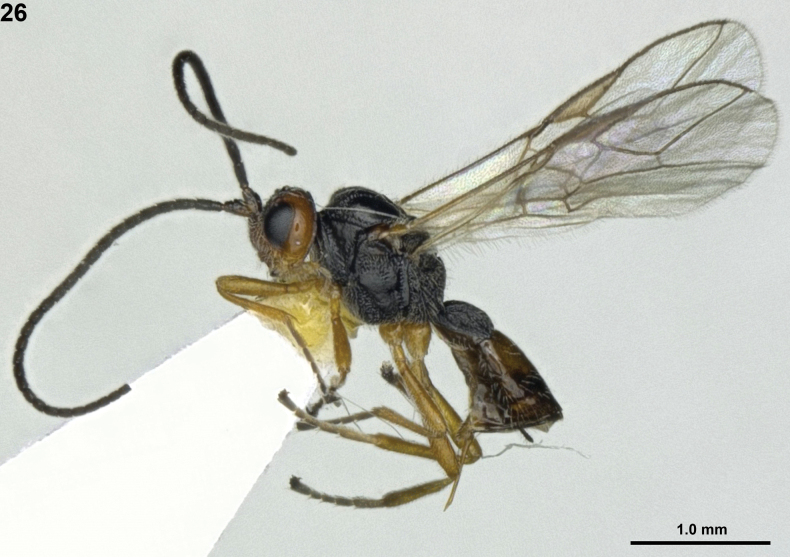 Figure 26