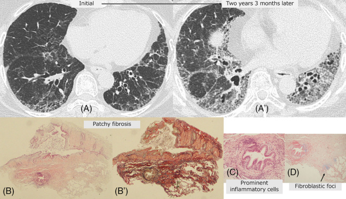 Figure 4