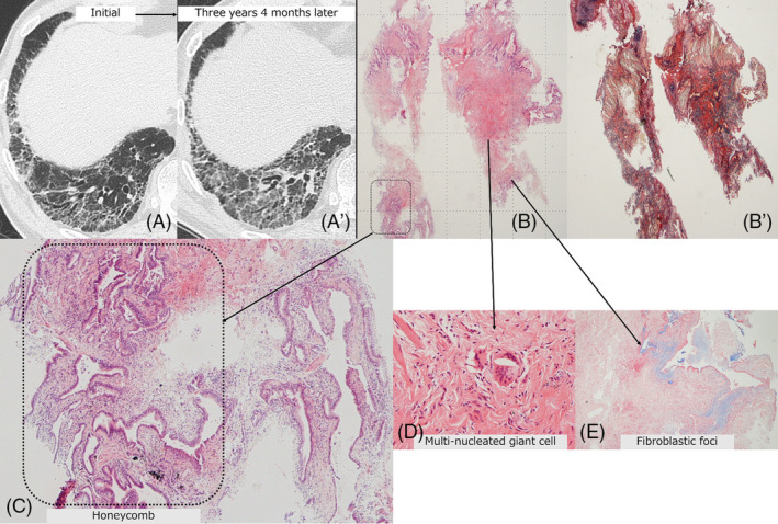 Figure 7