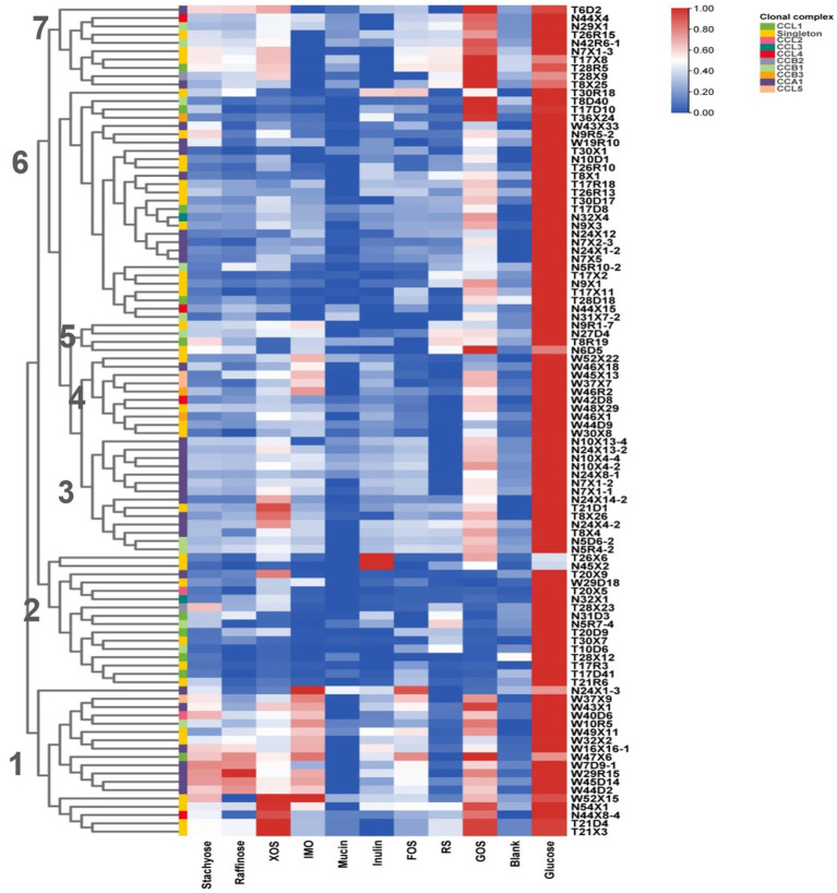 Figure 6