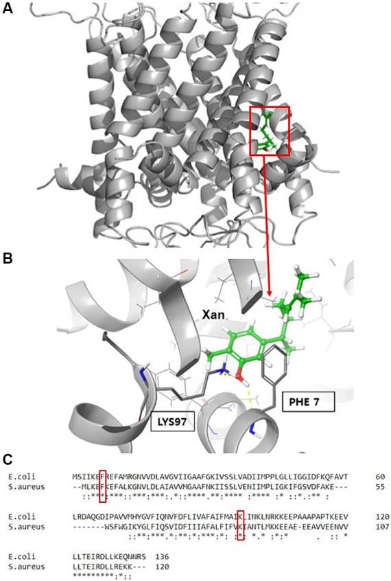 Figure 6