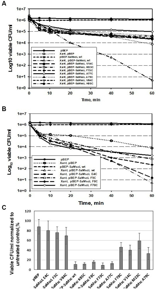 Figure 7