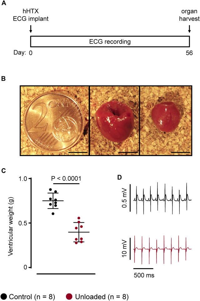 Figure 34