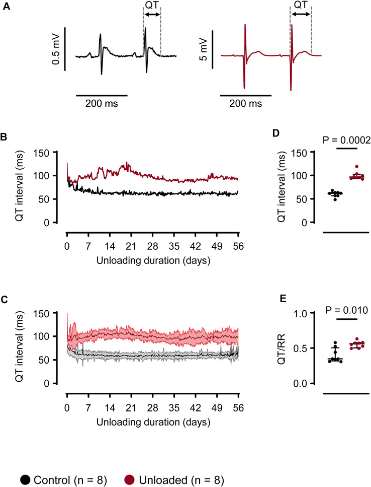Figure 36