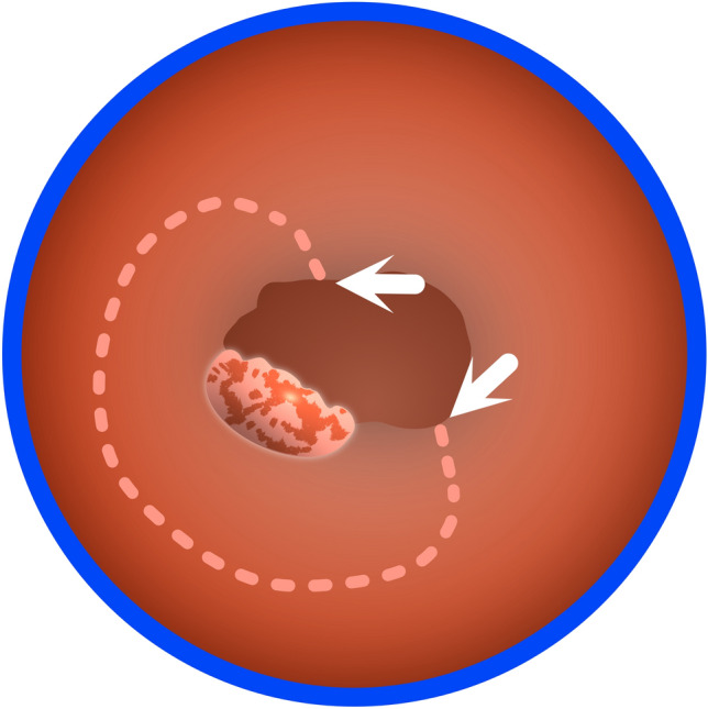 Figure 8