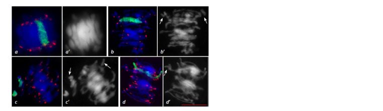 Figure 13
