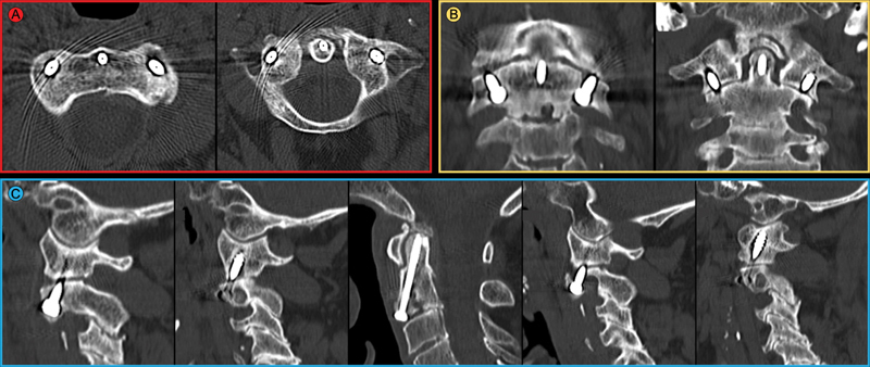 Fig. 5