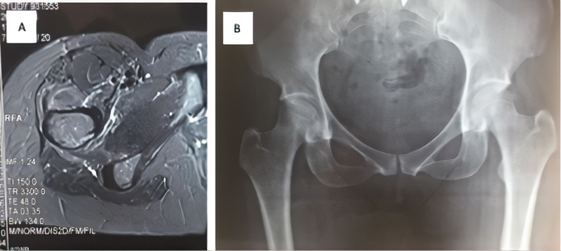 Fig. 5