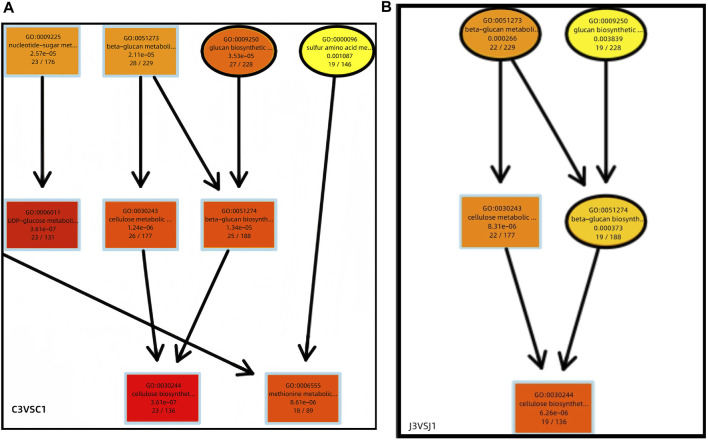 FIGURE 6