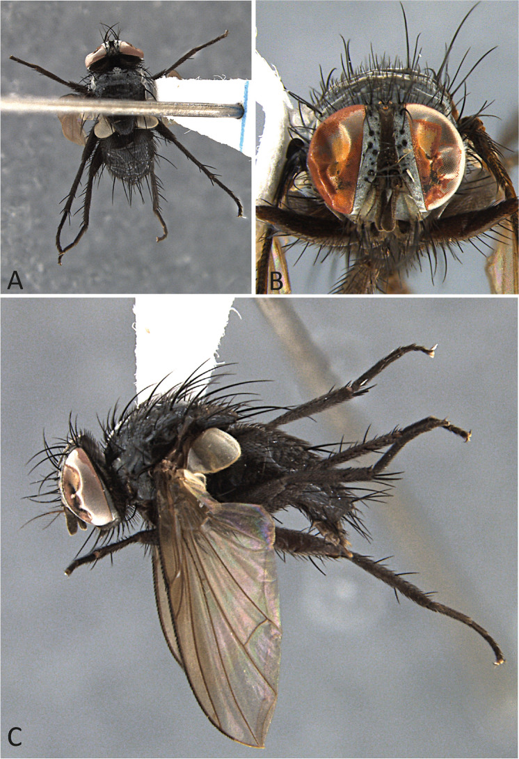 Figure 10