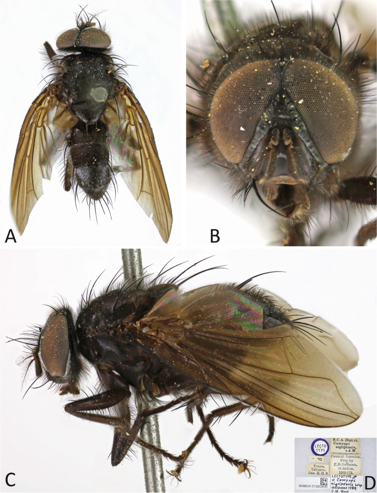 Figure 6