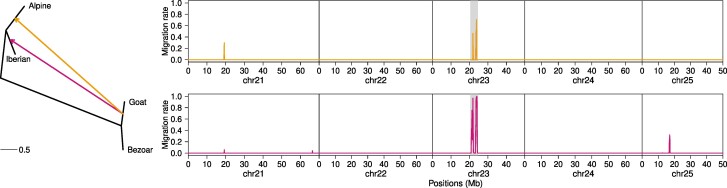 Fig. 7