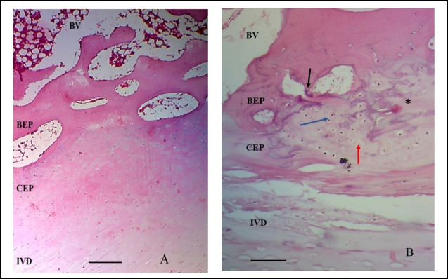 Fig.3