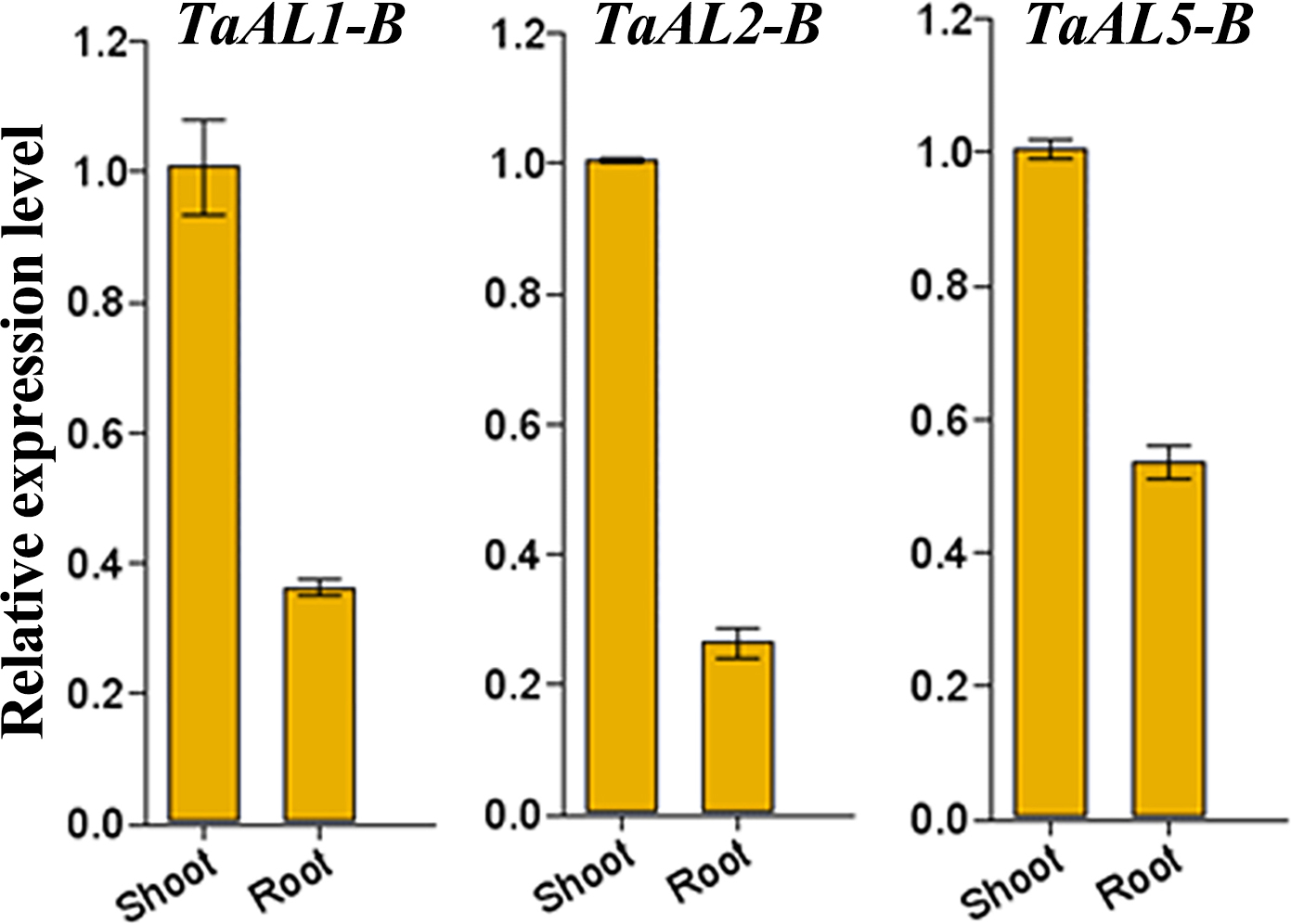 Figure 11