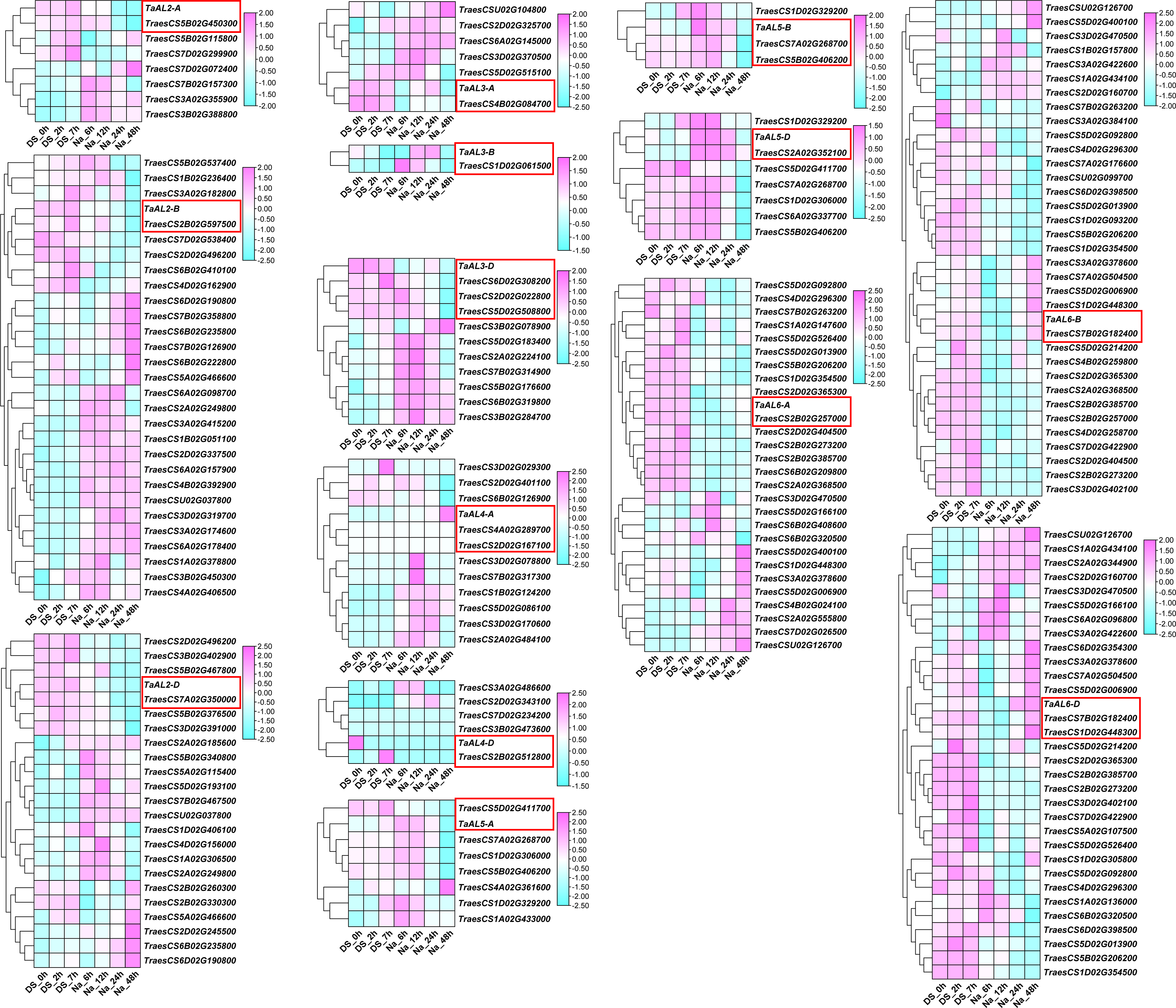 Figure 12