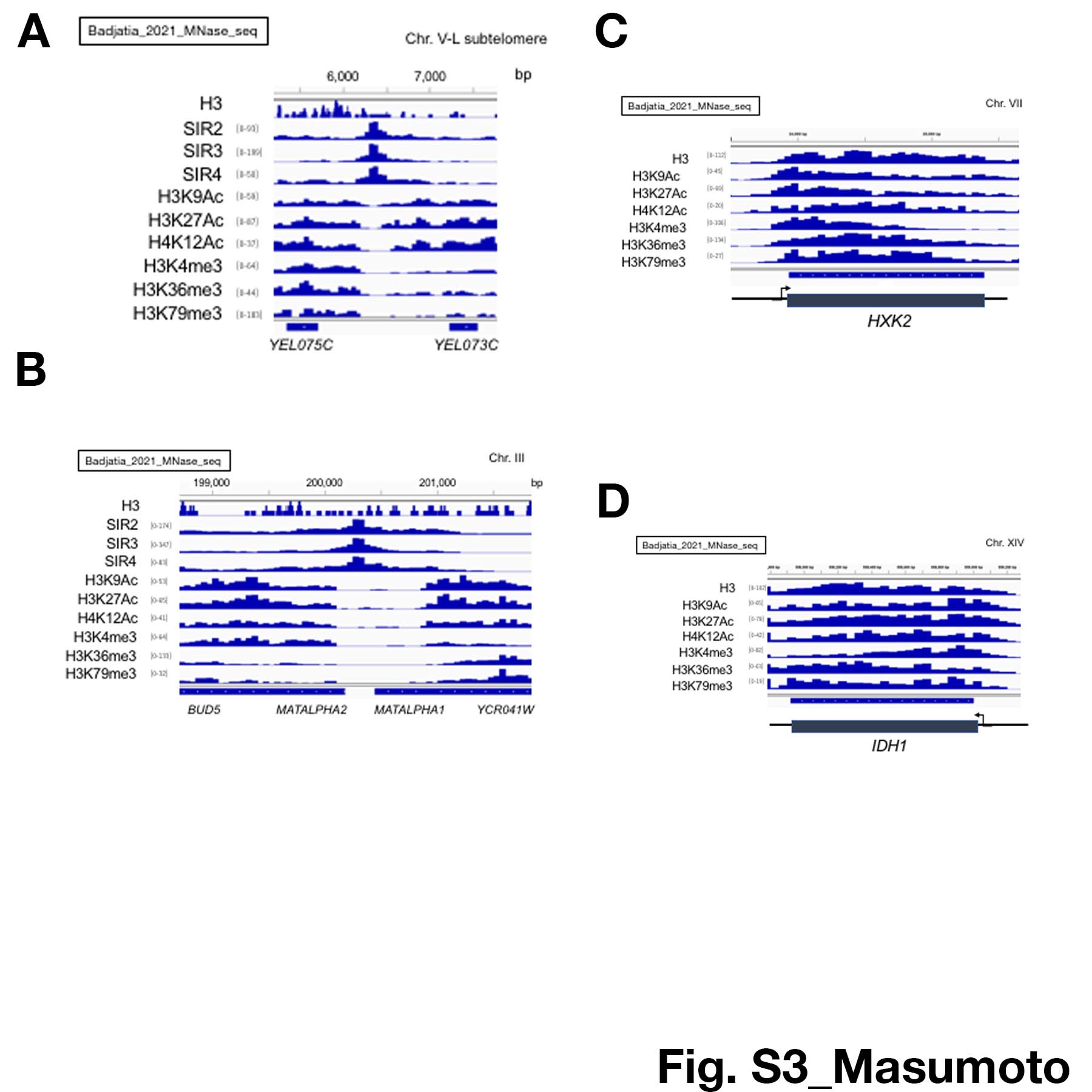 Figure 10