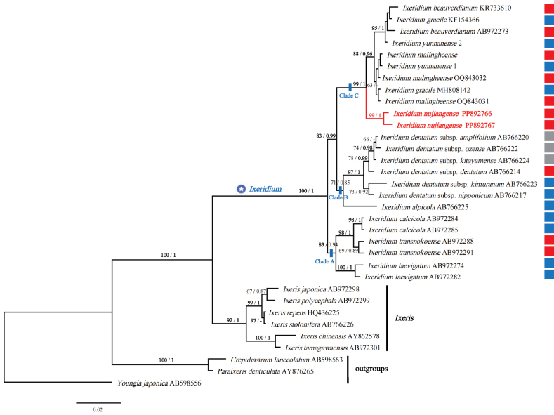 Figure 3