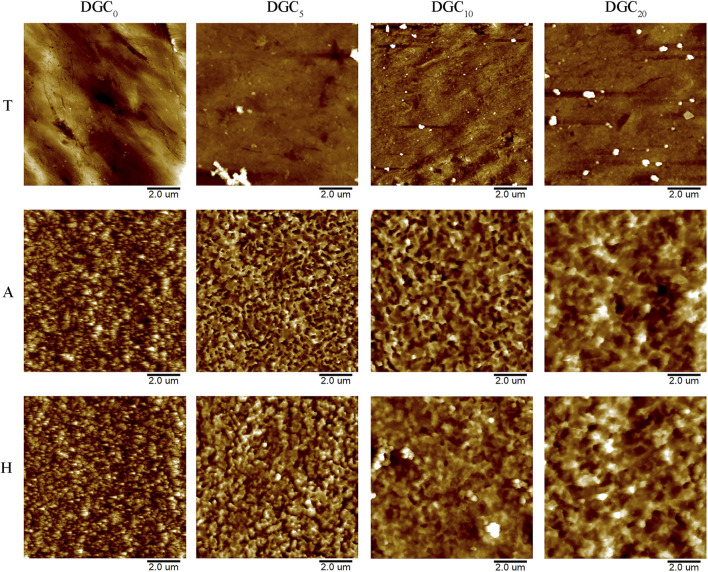 FIGURE 2