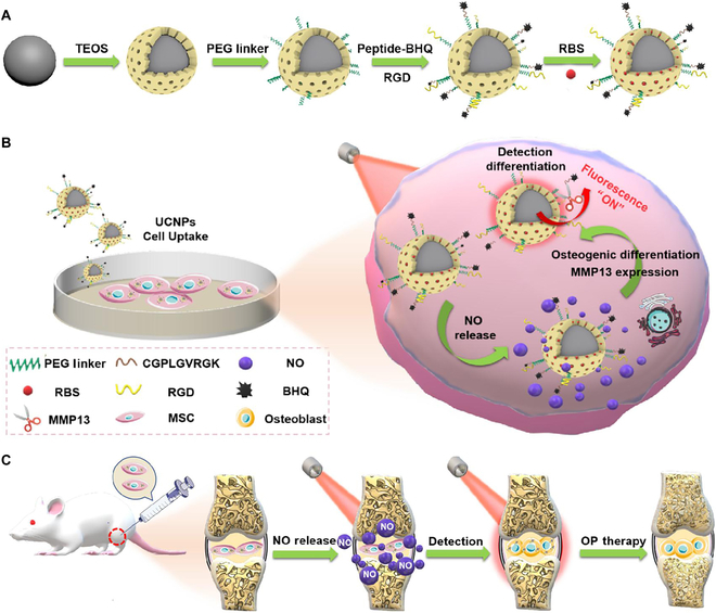 Fig. 1