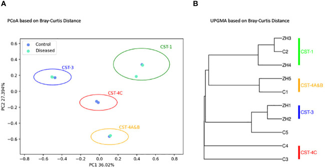 Figure 5