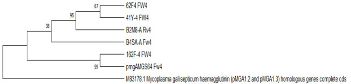 Fig. 2